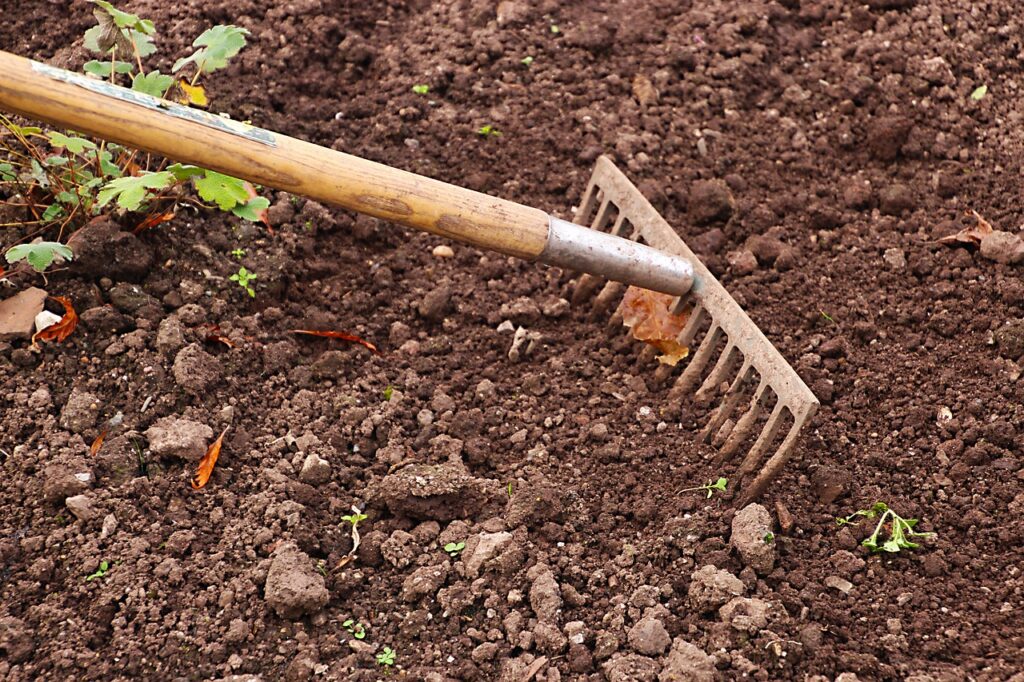 rake, gardening, garden, agriculture, work, tool, gardener, equipment, outdoor, raking, rural, soil, cultivation, earth, surface, ground, texture, nature, land, planting, nobody, brown, cultivated, dirt, farmland, weeding, brown earth, brown work, brown texture, brown garden, brown gardening, brown tools